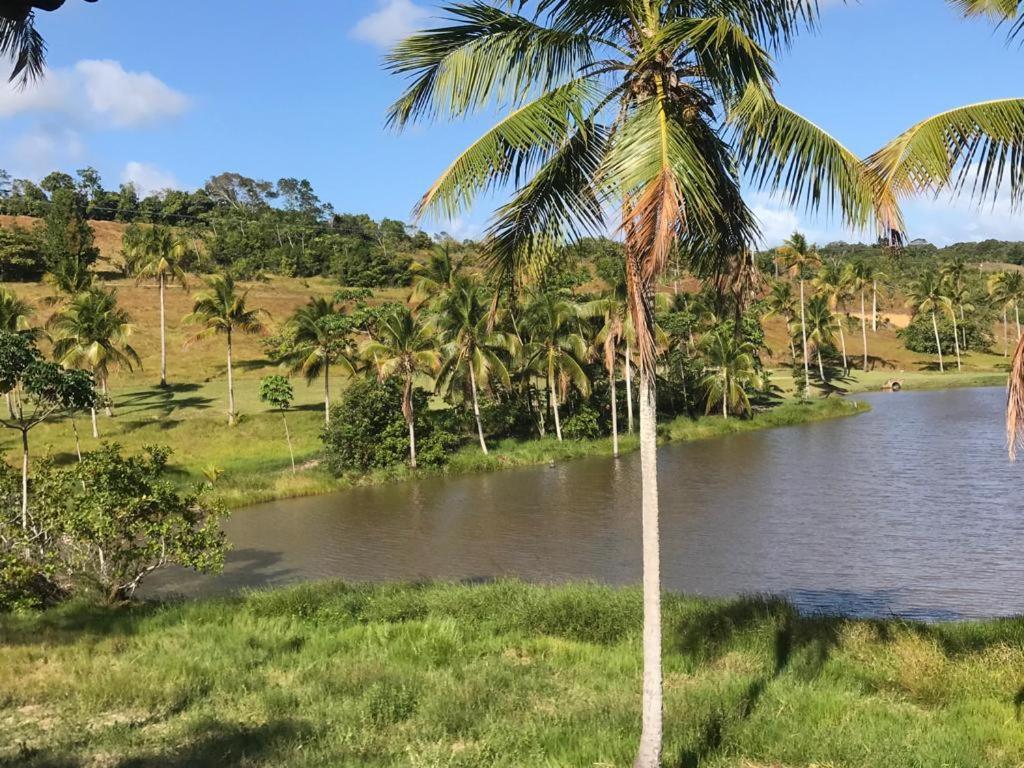 Oka 23 Milagres Vila São Miguel dos Milagres Exterior foto